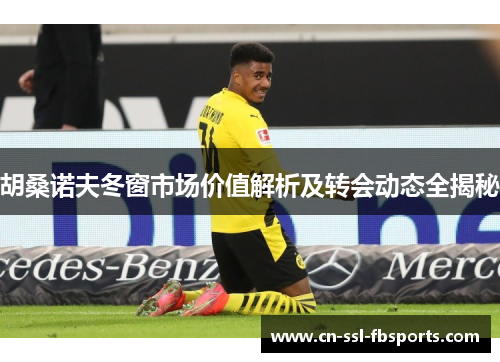 胡桑诺夫冬窗市场价值解析及转会动态全揭秘