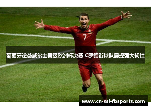 葡萄牙逆袭威尔士晋级欧洲杯决赛 C罗领衔球队展现强大韧性