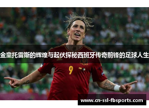 金童托雷斯的辉煌与起伏探秘西班牙传奇前锋的足球人生