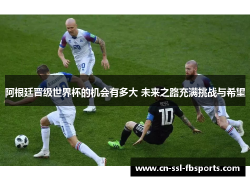 阿根廷晋级世界杯的机会有多大 未来之路充满挑战与希望