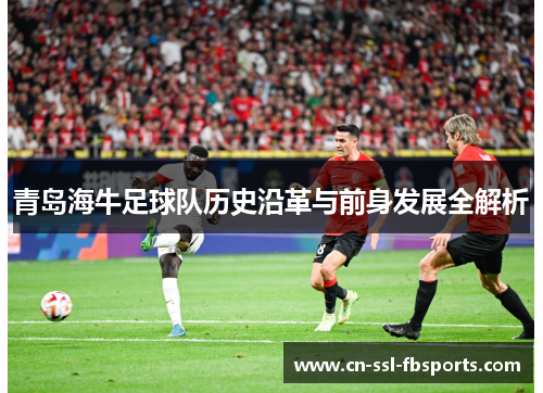 青岛海牛足球队历史沿革与前身发展全解析 青岛海牛足球队历史沿革与前身发展全解析